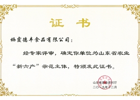 山東省農業(yè)新六產示范主體