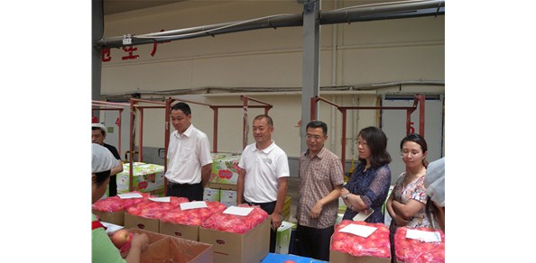 《綠色食品品質(zhì)、營(yíng)業(yè)功能評(píng)價(jià)標(biāo)準(zhǔn)課題》調(diào)研在棲霞德豐開(kāi)展