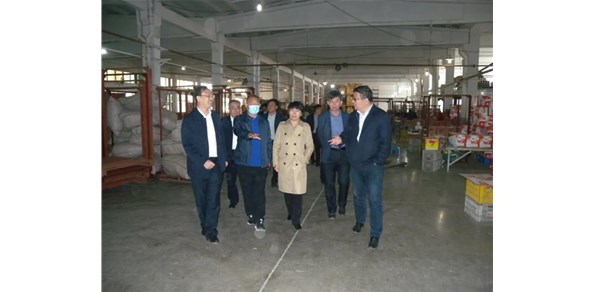 省農(nóng)業(yè)農(nóng)村廳、財(cái)政廳來(lái)?xiàng)綄?dǎo)煙臺(tái)蘋(píng)果產(chǎn)業(yè)集群建設(shè)工作