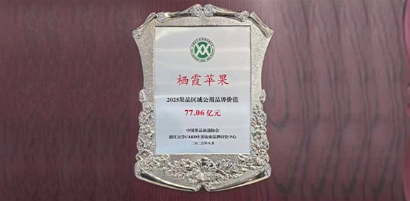 77.06億元！“棲霞蘋(píng)果”品牌價(jià)值穩(wěn)居全國(guó)榜首！