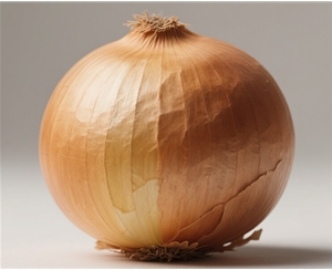 Onion